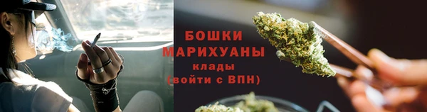 прущие грибы Вязники